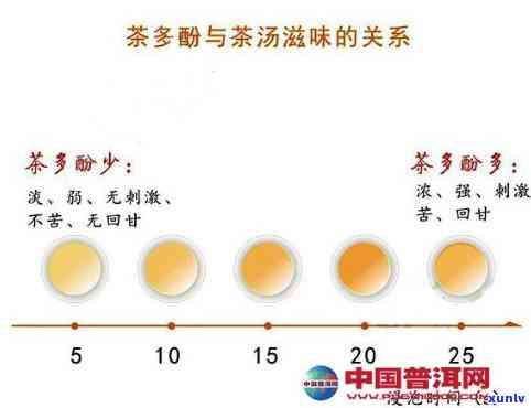 不同冲泡 *** 下茶水中茶多酚，探索茶叶奥秘：不同冲泡 *** 对茶多酚含量的影响