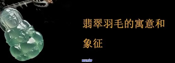 翡翠羽毛：寓意、象征解析