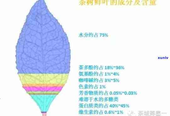 茶叶中的什么具有兴奋神经，茶叶中的 *** ：如何兴奋你的神经系统？