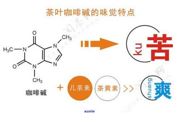 茶叶中的什么具有兴奋神经，茶叶中的 *** ：如何兴奋你的神经系统？