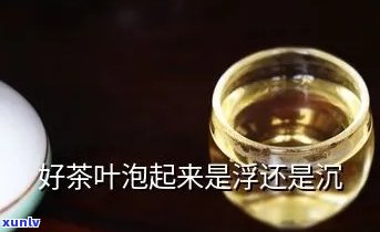 泡茶时茶叶不下沉，茶叶为何在水中漂浮不沉？揭示泡茶的科学原理