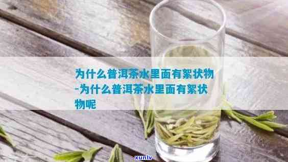 茶叶泡完有絮状漂浮物，为什么茶叶泡完会有絮状漂浮物？