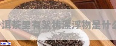 茶叶泡完有絮状漂浮物，为什么茶叶泡完会有絮状漂浮物？