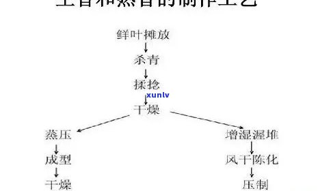 茶叶为什么会回？探究其原因与机制