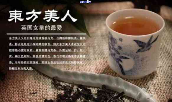 东方美人茶是什么品种？详解其来源与分类