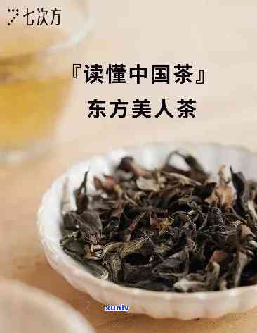 东方美人茶是什么品种？详解其来源与分类