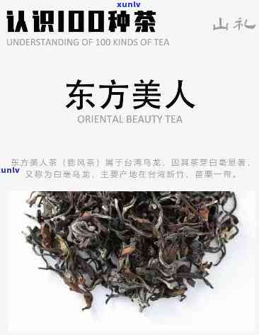 东方美人茶是什么品种？详解其来源与分类