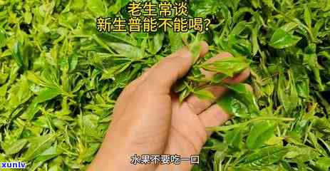 女的天天喝茶叶好吗-女的天天喝茶叶好吗知乎