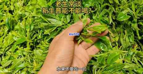 女的天天喝茶叶好吗-女的天天喝茶叶好吗知乎