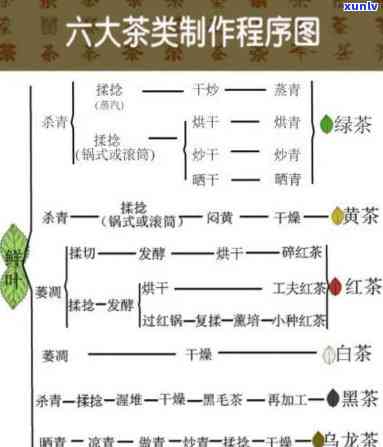 全面了解茶叶成分与功效：视频介绍大全及图片