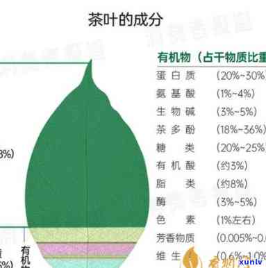 茶叶成分与功效视频-茶叶成分与功效视频讲解