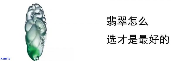 三哥翡翠达人视频，揭秘翡翠世界：三哥翡翠达人的深度解析视频