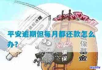 平安金所逾期不还-平安金所逾期不还会怎么样