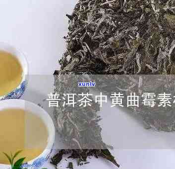 茶会有黄曲霉素吗？普洱茶是否安全？详解原因