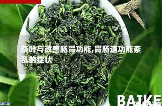 茶叶帮助消化吗？探讨其对胃部健的影响