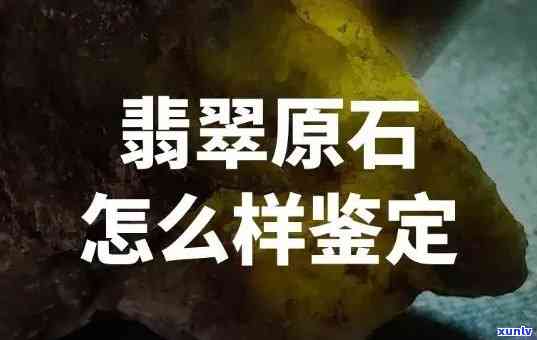 九江翡翠原石鉴定机构，专业鉴定，放心购买——九江翡翠原石鉴定机构