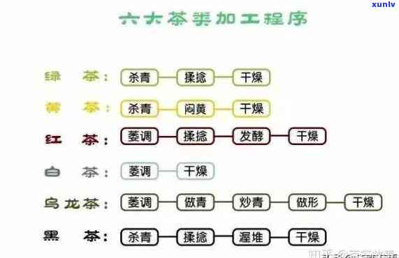 茶叶的发酵工艺类型是什么，探究茶叶发酵工艺类型：从基本到高级，全面解析