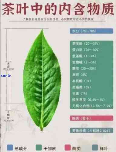 茶叶中含量最多的是哪些物质？详细解析茶叶中的主要成分和元素