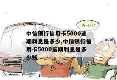 中信银行信用卡5000逾期利息是多少，查询中信银行信用卡5000元逾期利息，速来了解！