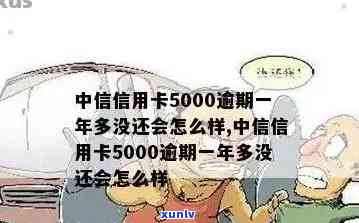 中信5000元逾期-中信银行逾期5000