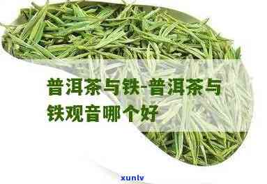 什么茶叶含铁最多？探讨铁含量更高的茶叶品种与