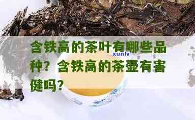 含铁量高的茶叶：种类与排名全解析