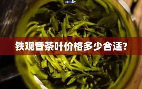 哪种茶叶含铁量更高-哪种茶叶含铁量更高的