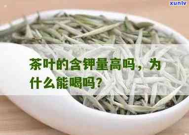 哪种茶叶含钾量更高？探讨茶叶钾含量的高低比较