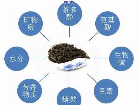 哪种茶叶含钾量更高？探讨茶叶钾含量的高低比较