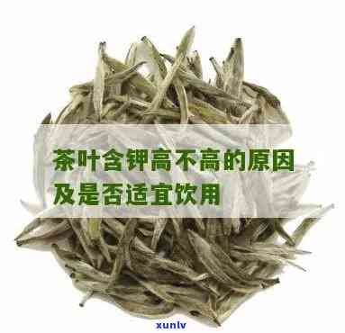 哪种茶叶含钾量更高？探讨茶叶钾含量的高低比较