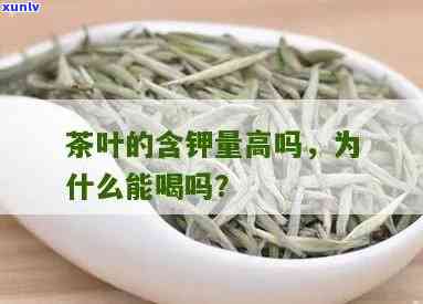 哪种茶叶含钾量更高？探讨茶叶中钾元素的含量比较