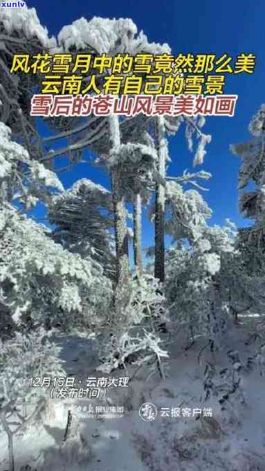 寻找风花雪月茶会举办地：在哪开？