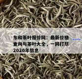 东创茶叶种类及价格查询官网：一站式获取最新信息