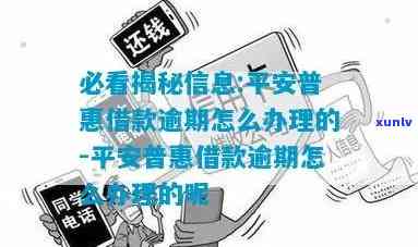 平安普慧融逾期了怎么办，平安普慧融逾期解决指南