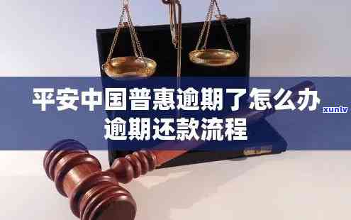 平安普慧融逾期了怎么办，平安普慧融逾期解决指南