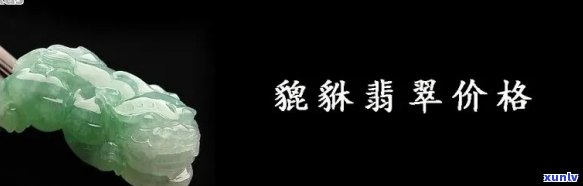 冰种翡翠市场价格，探究冰种翡翠市场价格：珍贵程度与投资价值分析