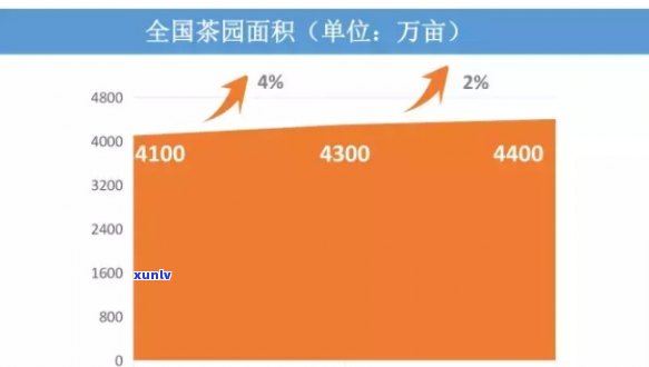 藤洋华堂茶叶价格-藤洋华堂贵吗