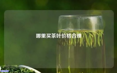 州哪里买茶叶？性价比高吗？