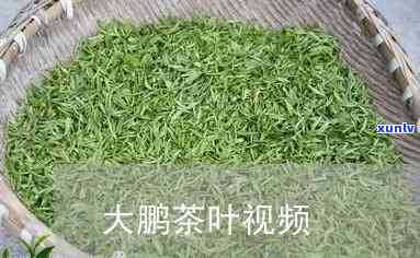 王大鹏茶叶直播视频-王大鹏茶叶直播视频大全