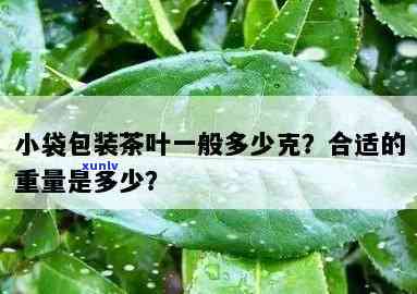 茶叶一小袋包装多少，茶叶小包装：一份是多少？