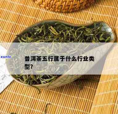 茶叶属于五行的哪个行业类别，探讨茶叶：属于五行中的哪个行业类别？