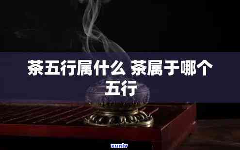 茶叶属于五行的哪个-茶叶属于五行的哪个行业