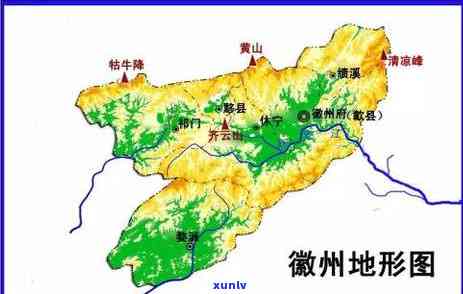 茶叶生长在什么地形-茶叶生长在什么地形里