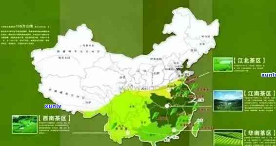 茶叶分布在那个地形-茶叶分布在那个地形上