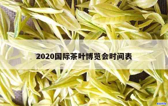 中国茶叶展会：多少个参加？全国茶叶展会时间和地点2020年全攻略