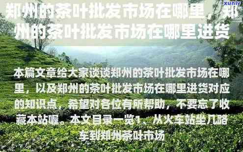 州茶叶批发，州茶叶场：一站式采购优质茶叶的首选之地