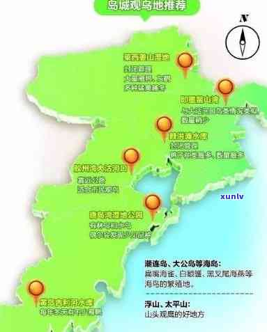 青岛茶叶场有几个，青岛茶叶场数量一览