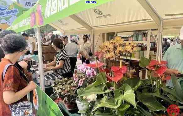 济南的茶叶市场，探索济南茶叶市场的魅力：一次独特的茶文化之旅