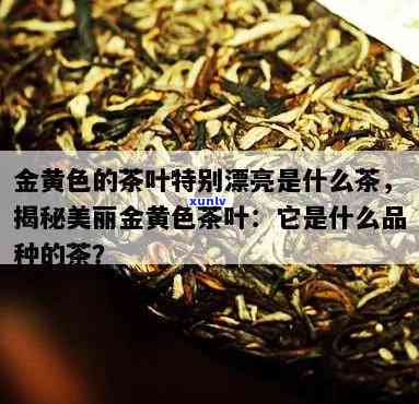 金黄色的茶叶是什么-金黄色的茶叶是什么茶