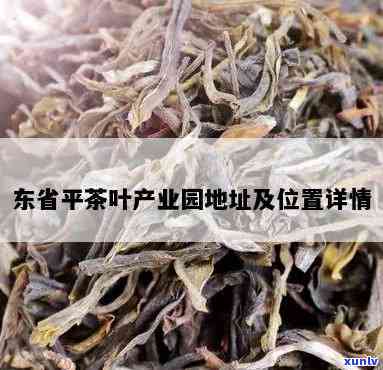 东有几个茶叶场，东有多少个茶叶场？